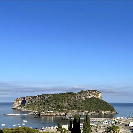 Nappi Отель типа 