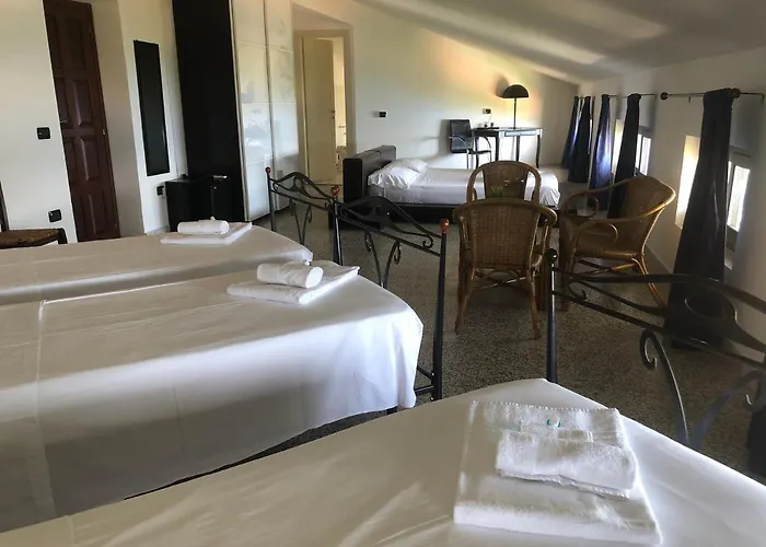 Nappi 普拉亚·阿马勒