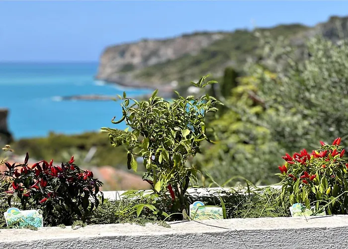 Nappi 住宿加早餐酒店 3*